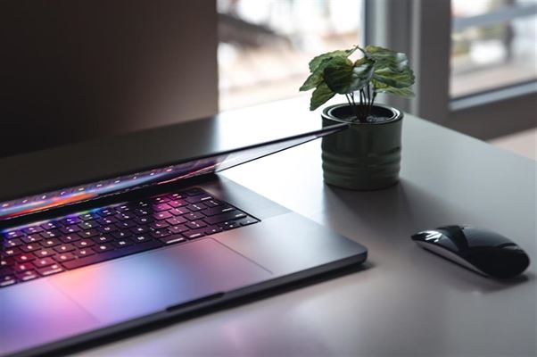 Spar Tid og Penge: Oplev Online Shoppingens Skattekort med WebshopListen