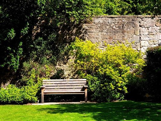 Køb en Husqvarna rider og få det bedste af det bedste
