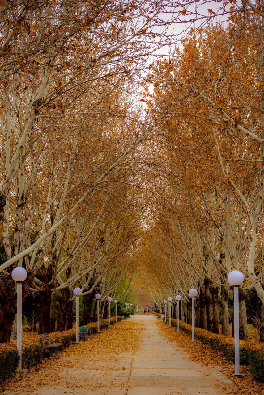 Køb solcellelamper og få en masse fordele